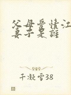 父母爱情江卫东妻子是谁封面