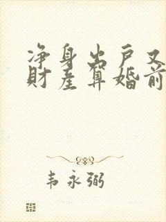 净身出户又复婚财产算婚前的吗封面