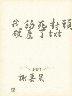 我的死对头终于破产了txt