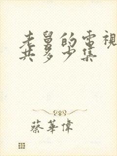 老舅的电视剧一共多少集封面