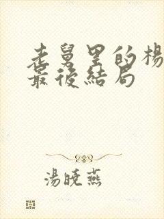 老舅里的杨小姐最后结局