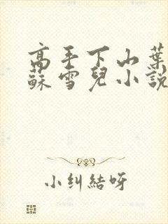 高手下山叶君临苏雪儿小说封面