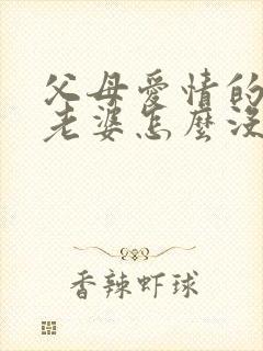 父母爱情的老丁老婆怎么没了