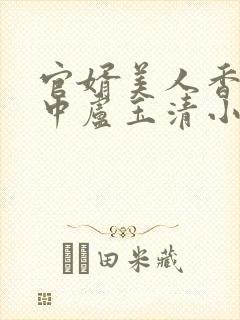 官婿美人香刘志中卢玉清小说