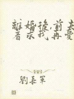 离婚后,前夫哭着求我再爱他一次小说封面