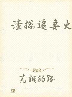 渣总追妻火葬场