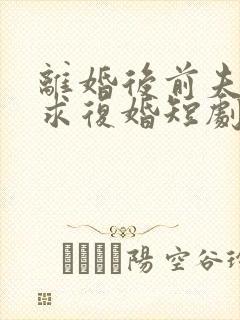 离婚后前夫哭着求复婚短剧免费观看