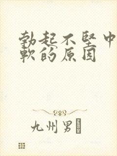 勃起不坚中途疲软的原因封面