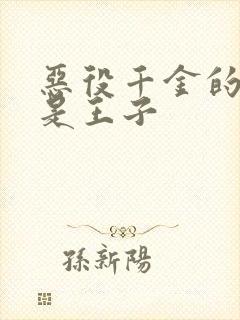 恶役千金的本命是王子