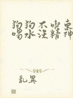 狗狗不吃东西只喝水没精神想趴着