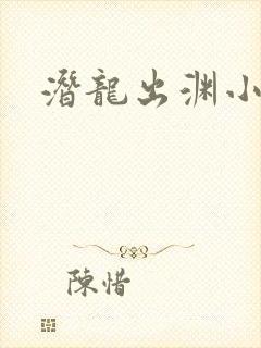潜龙出渊小说