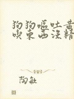 狗狗呕吐黄水不吃东西没精神