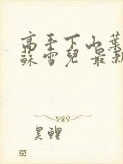 高手下山叶君临苏雪儿 最新章节封面