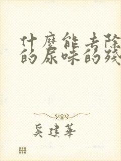 什么能去除狗狗的尿味的残留