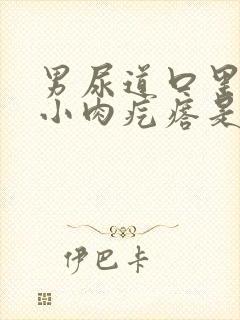 男尿道口里长个小肉疙瘩是怎么回事