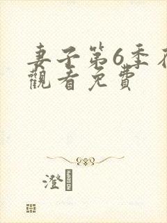 妻子第6季在线观看免费