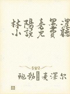 林阳秦墨浓有声小说免费听书