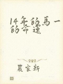 14年的马一生的命运