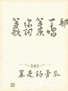 等你等了那么久歌词原唱