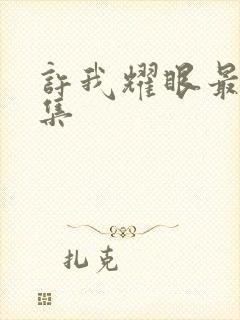 许我耀眼最后一集