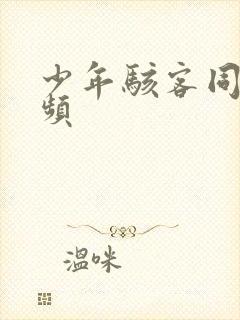 少年骇客同人视频