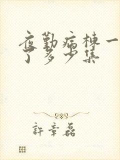 夜勤病栋一共出了多少集