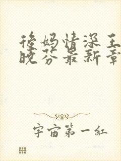 后妈情深王磊杨晓芬最新章节