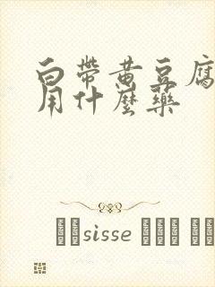 白带黄豆腐渣状用什么药