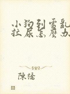 小狗到处乱拉屎拉尿怎么办