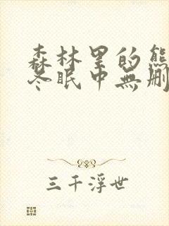 森林里的熊先生冬眠中无删减动画片封面