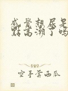 感觉想尿是要g点高潮了吗