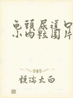 龟头尿道口长了小肉粒图片