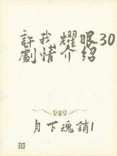 许我耀眼30集剧情介绍