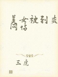 美女被到爽视频网站