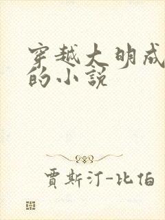 穿越大明成崇祯的小说封面