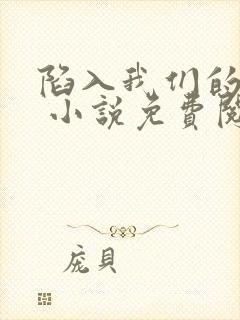 陷入我们的热恋 小说免费阅读