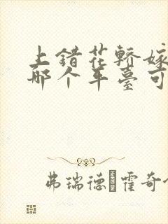 上错花轿嫁对郎哪个平台可以看封面