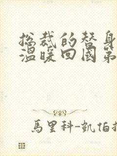 总裁的替身前妻温暖回国第几章