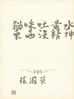 猫咪吐黄水不吃东西没精神怎么办