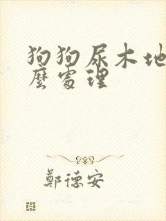 狗狗尿木地板怎么处理