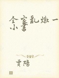 全家乱炖一锅烩小书