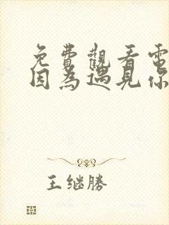 免费观看电视剧因为遇见你全集