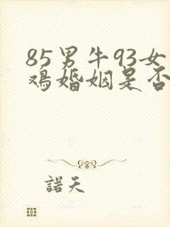 85男牛93女鸡婚姻是否相配封面