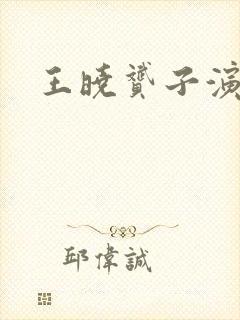 王晓赟子演的剧封面