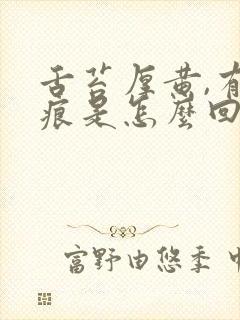 舌苔厚黄,有齿痕是怎么回事