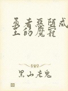 勇者恶堕成为魔王的魔宠