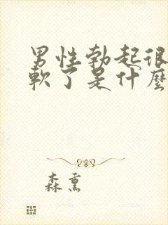 男性勃起很快就软了是什么原因