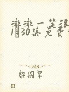 微微一笑很倾城1―30集免费观看封面