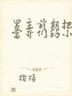 男主前期把女主当哥们的小说