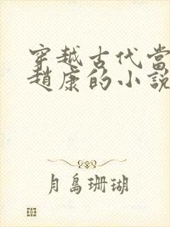 穿越古代当县令赵康的小说封面